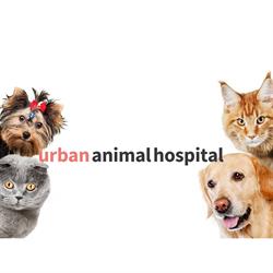 Urban Animal Hospital, Vancouver, BC opening hours