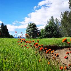 Valley View Golf Club, Winlaw, BC opening hours