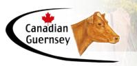 Canadian Guernsey Assn, Guelph, ON opening hours