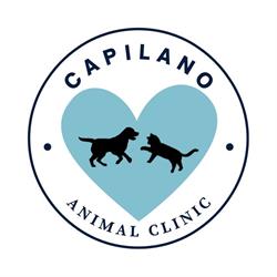 Capilano Animal Clinic in Edmonton, AB (Eastgate Business Park) - Opening Hours