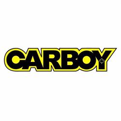 Carboy Auto Inc, Richmond Hill, ON opening hours