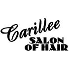 Carillee Salon of Hair in Winnipeg, MB (Heritage Park) - Opening Hours