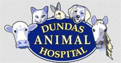 Dundas Animal Hospital, opening hours