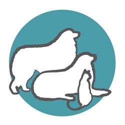 Graham Animal Hospital, Hillsburgh, ON opening hours
