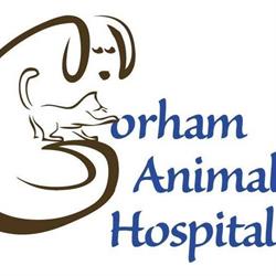 Gorham Animal Hospital, Newmarket, ON opening hours
