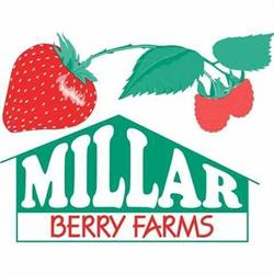 Millar Berry Farms Incorporated, London, ON opening hours