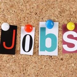 Motivated Staffing Incorporated, Bolton, ON opening hours