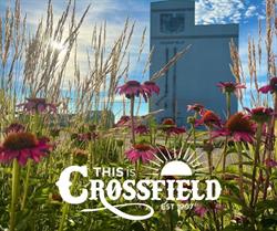 Town Of Crossfield Ofc, opening hours