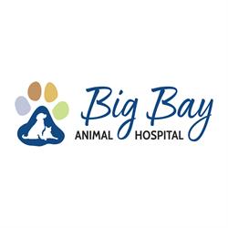 Big Bay Animal Hospital, Barrie, ON opening hours