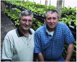 Budd Gardens Perennials, Gloucester, ON opening hours