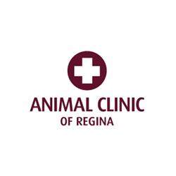 Animal Clinic Of Regina, opening hours
