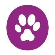 Chedoke Animal Hospital, Ancaster, ON opening hours