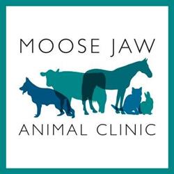 Moose Jaw Animal Clinic, opening hours