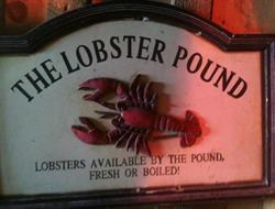 Steamers Lobster Co Ltd, Saint John, NB opening hours