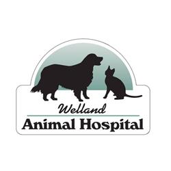 Welland Animal Hospital, opening hours