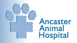 Ancaster Animal Hospital, opening hours