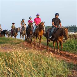Brudenell Riding Stables, Cardigan, PE opening hours