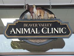 Beaver Valley Animal Clinic, Fruitvale, BC opening hours