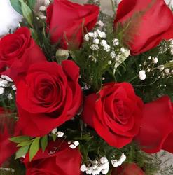 Northern Country Flowers, Blind River, ON opening hours