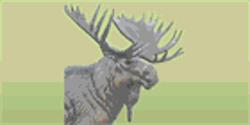 Loyal Order Moose 844, Thunder Bay, ON opening hours