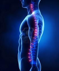Ley Chiropractic Offices, St. Catharines, ON opening hours