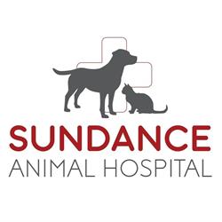 Sundance Animal Hospital in Calgary, AB (Sundance) - Opening Hours