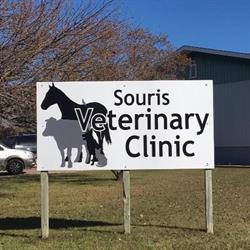 Souris Veterinary Clinic, opening hours