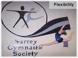 Surrey Gymnastic Society, opening hours