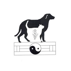 Arlington Animal Hospital, Saskatoon, SK opening hours
