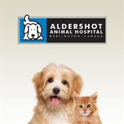 Aldershot Animal Hospital, Burlington, ON opening hours