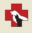 Animal Hospital Of Beeton, opening hours