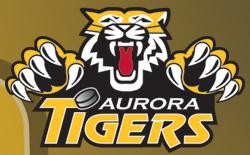 Aurora Minor Hockey Assoc, opening hours