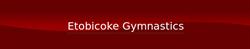 Etobicoke Gymnastics Club, opening hours