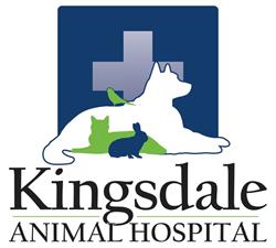 Kingsdale Animal Hospital, King City, ON opening hours