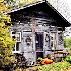 Log Cabin Organic Orchard, Osgoode, ON opening hours