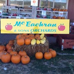 Mceachran & Sons Orchards, Duntroon, ON opening hours
