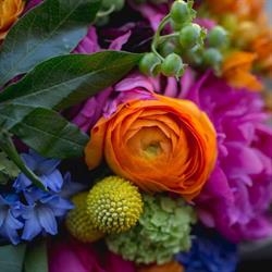 Superior Floral Wholesale in Edmonton, AB (North Central Edmonton) - Opening Hours