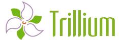 Trillium Moving & Storage, Mississauga, ON opening hours