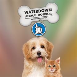 Waterdown Animal Hospital, opening hours