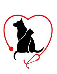 Beamsville Animal Hospital, opening hours