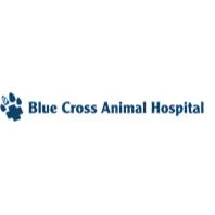 Blue Cross Animal Hospital, Toronto, ON opening hours