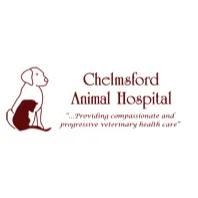 Chelmsford Animal Hospital, opening hours