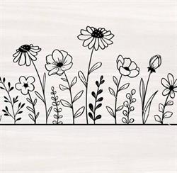 Country Garden Florist Ltd, Montague, PE opening hours