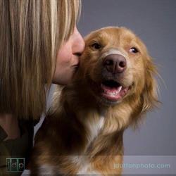 Huntington Animal Hospital, St. Catharines, ON opening hours