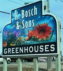 K Bosch & Sons Greenhouses, Headingley, MB opening hours