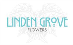 Linden Grove Floral Studio, Toronto, ON opening hours