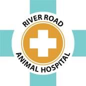River Road Animal Hospital, Wasaga Beach, ON opening hours