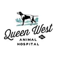 Queen West Animal Hospital, Toronto, ON opening hours