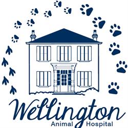 Wellington Animal Hospital, Woodstock, ON opening hours