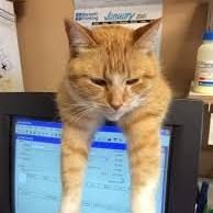 Cambray Veterinary Services, Lindsay, ON opening hours